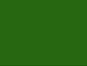 Forest Green 754