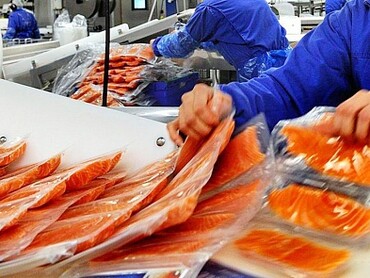 Особенности пола на рыбоперерабатывающих предприятиях