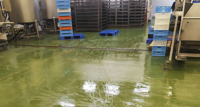 «Агро-Овен»:  Площа: 19000 м2 Flowfresh HF