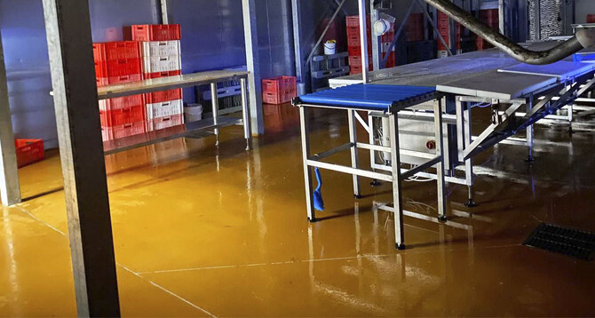 “Ходорівський м’ясокомбінат”:  Площа: 1000 м2 Flowfresh HF